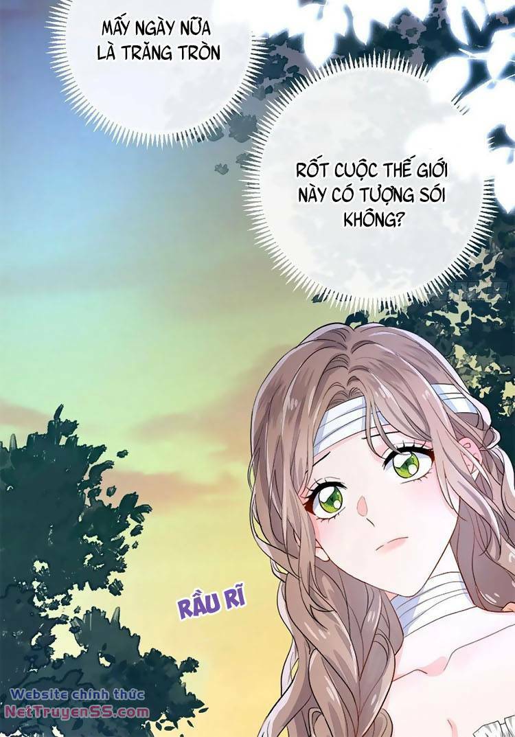 Trăng Tròn Chia Hoan Chương 8 Ảnh 11