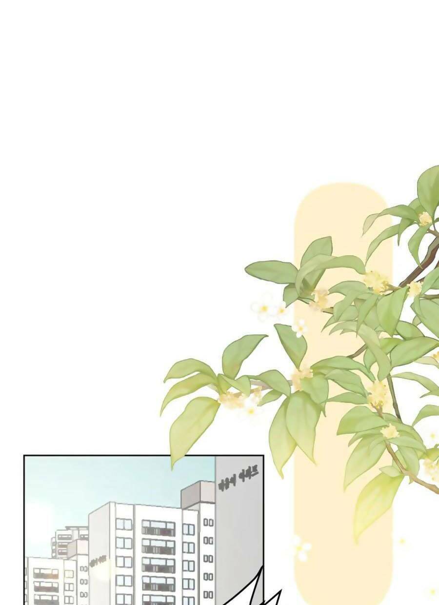 Tình Yêu Duy Nhất Của Tôi Chương 41 Ảnh 5