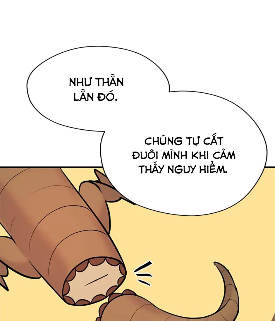 Câu Trả Lời Mùa Đông Chương 51 Ảnh 57