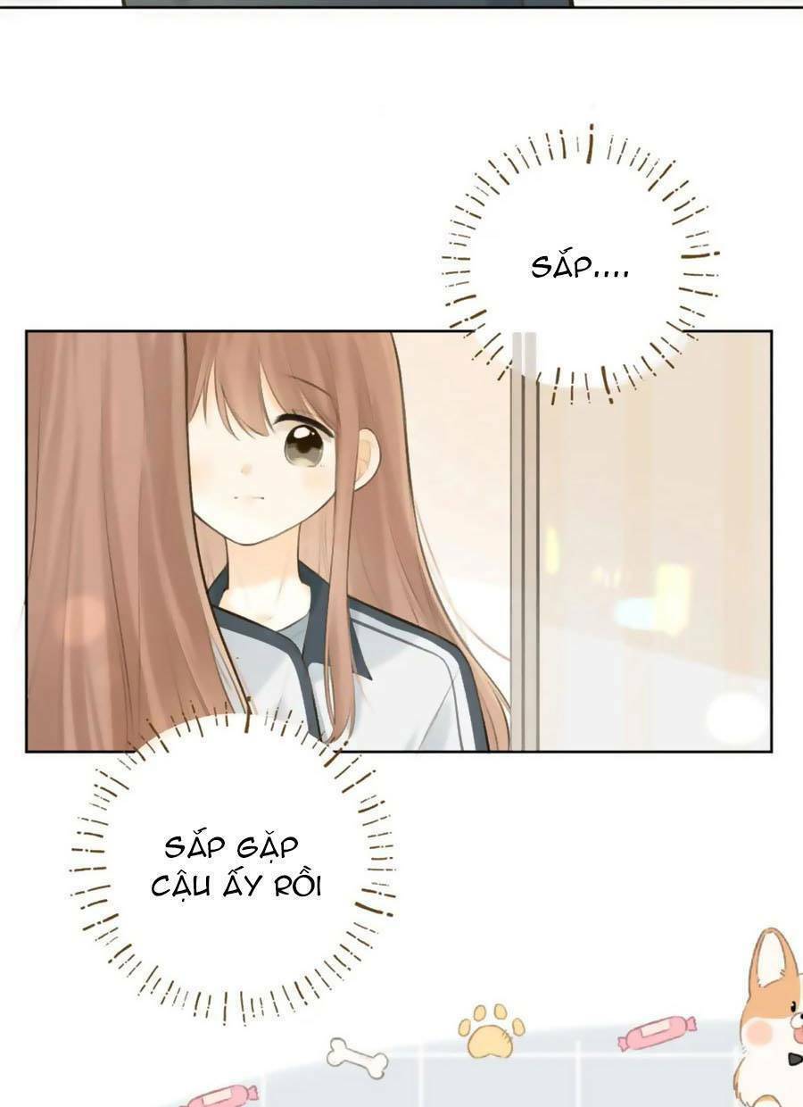 Tình Yêu Duy Nhất Của Tôi Chương 41 Ảnh 8
