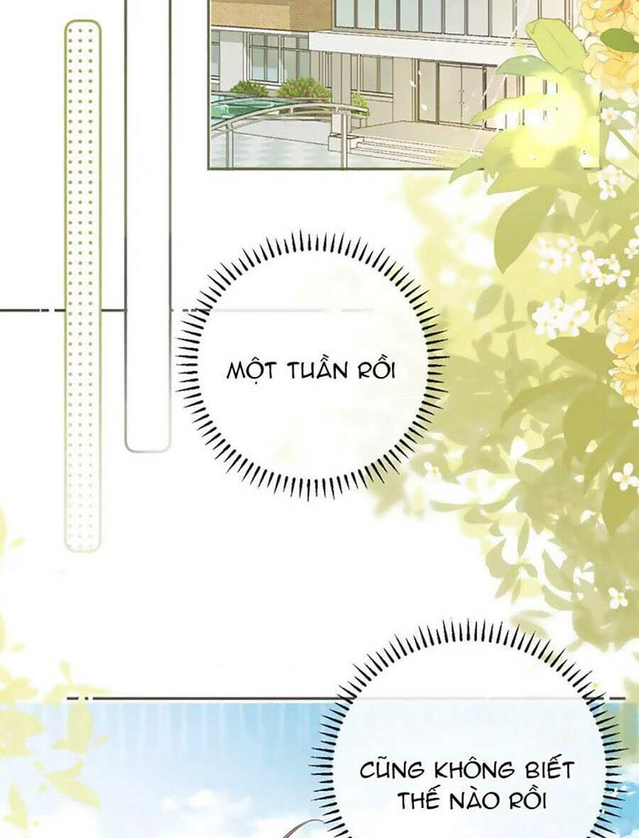 Tình Yêu Duy Nhất Của Tôi Chương 48 Ảnh 75
