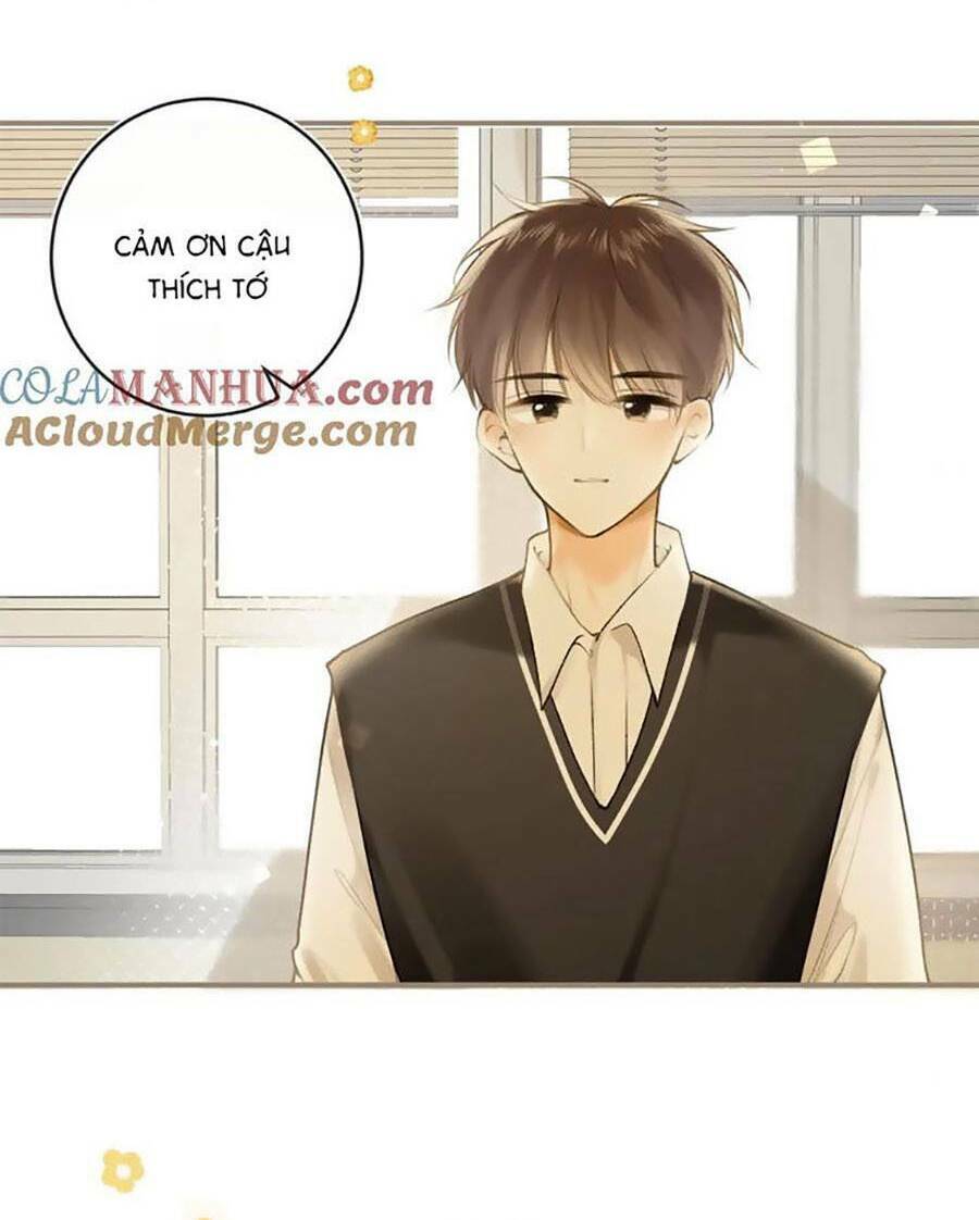 Tình Yêu Duy Nhất Của Tôi Chương 51 Ảnh 27
