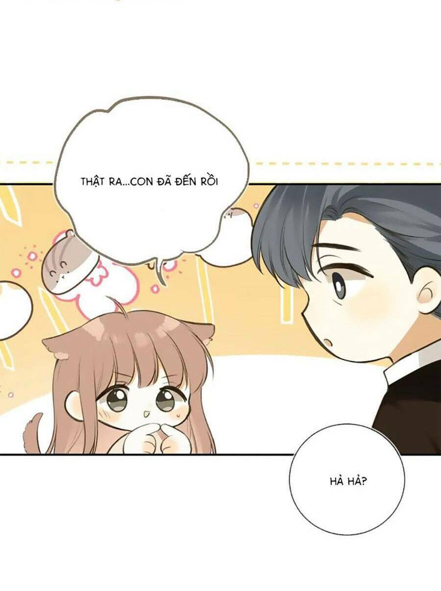 Tình Yêu Duy Nhất Của Tôi Chương 49 Ảnh 15