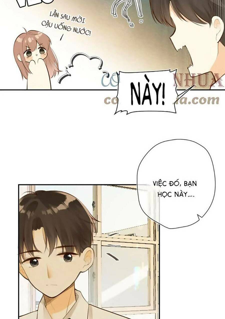 Tình Yêu Duy Nhất Của Tôi Chương 44 Ảnh 14