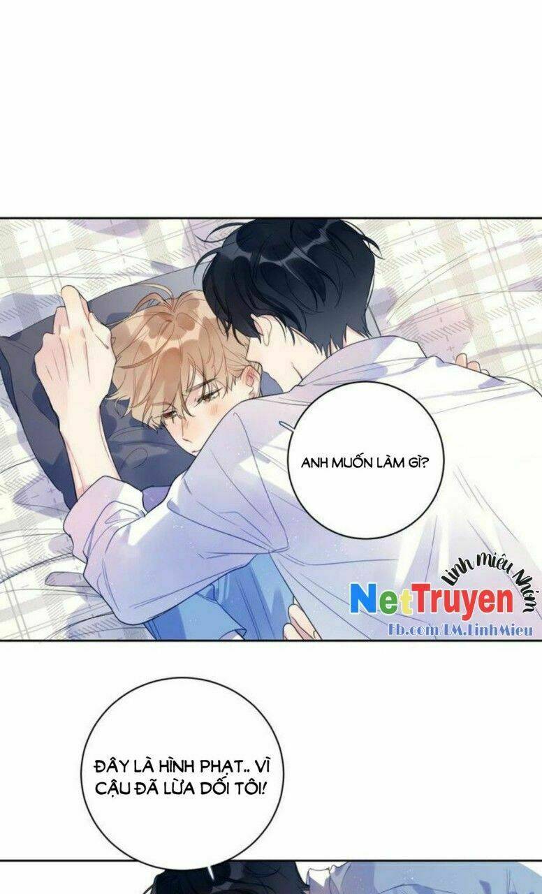 Ánh Nắng Rực Rỡ Của Tinh Trình Chương 4 Ảnh 14