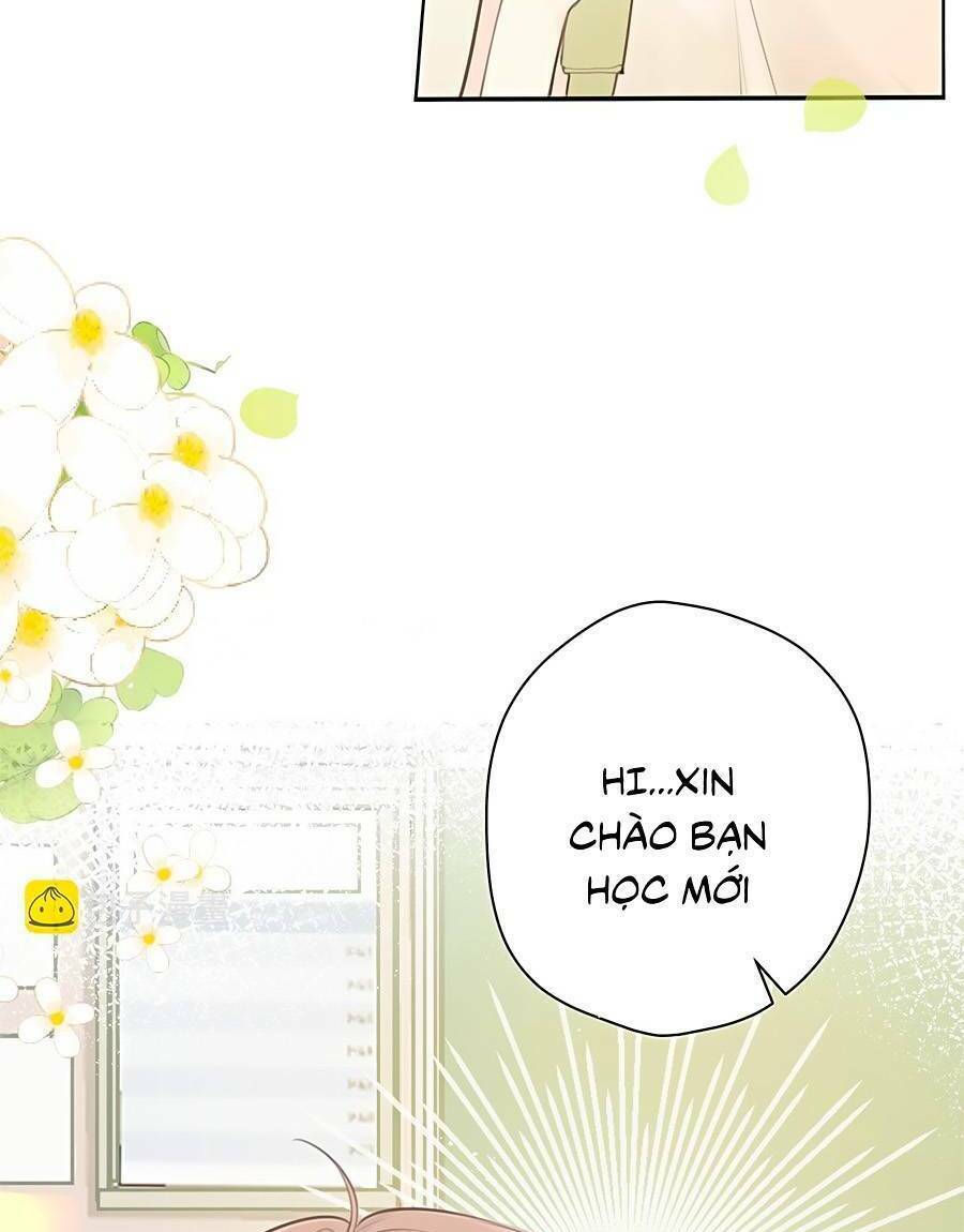 Tình Yêu Duy Nhất Của Tôi Chương 32 Ảnh 17
