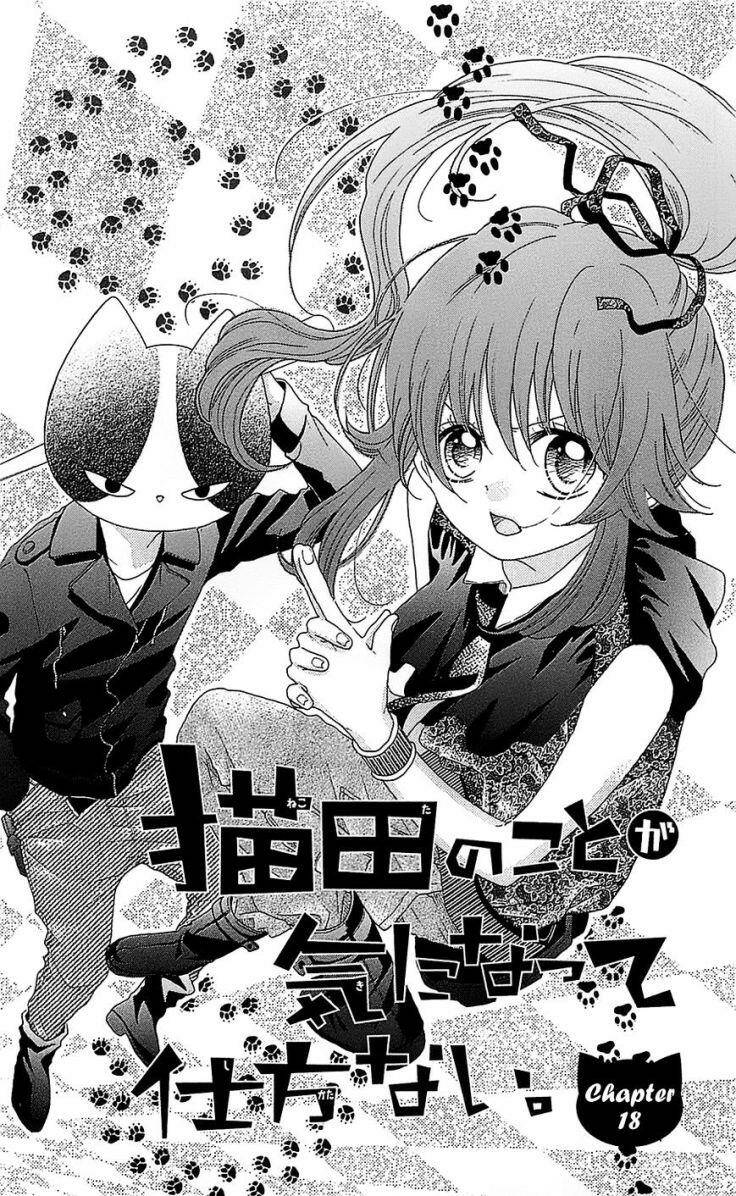 Nekota No Koto Ga Ki Ni Natte Shikatanai Chương 18 Ảnh 8