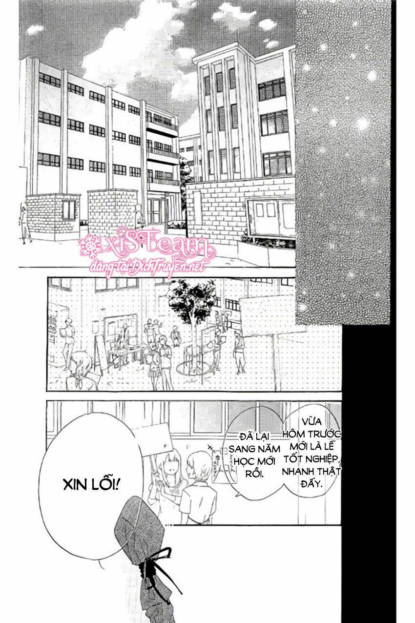 Ichirei Shite, Kiss Chương 20 Ảnh 14