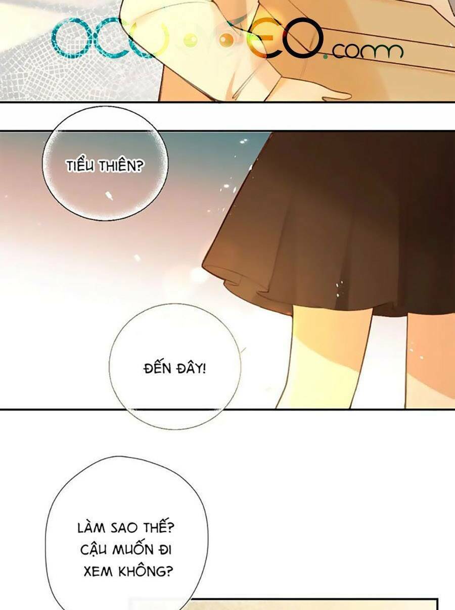 Tình Yêu Duy Nhất Của Tôi Chương 44 Ảnh 6