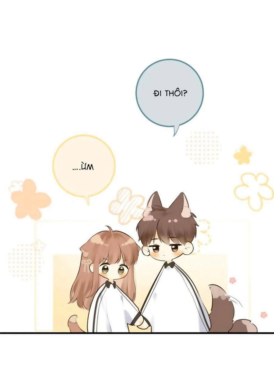 Tình Yêu Duy Nhất Của Tôi Chương 43 Ảnh 31
