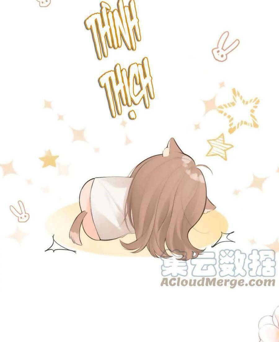 Tình Yêu Duy Nhất Của Tôi Chương 40 Ảnh 61
