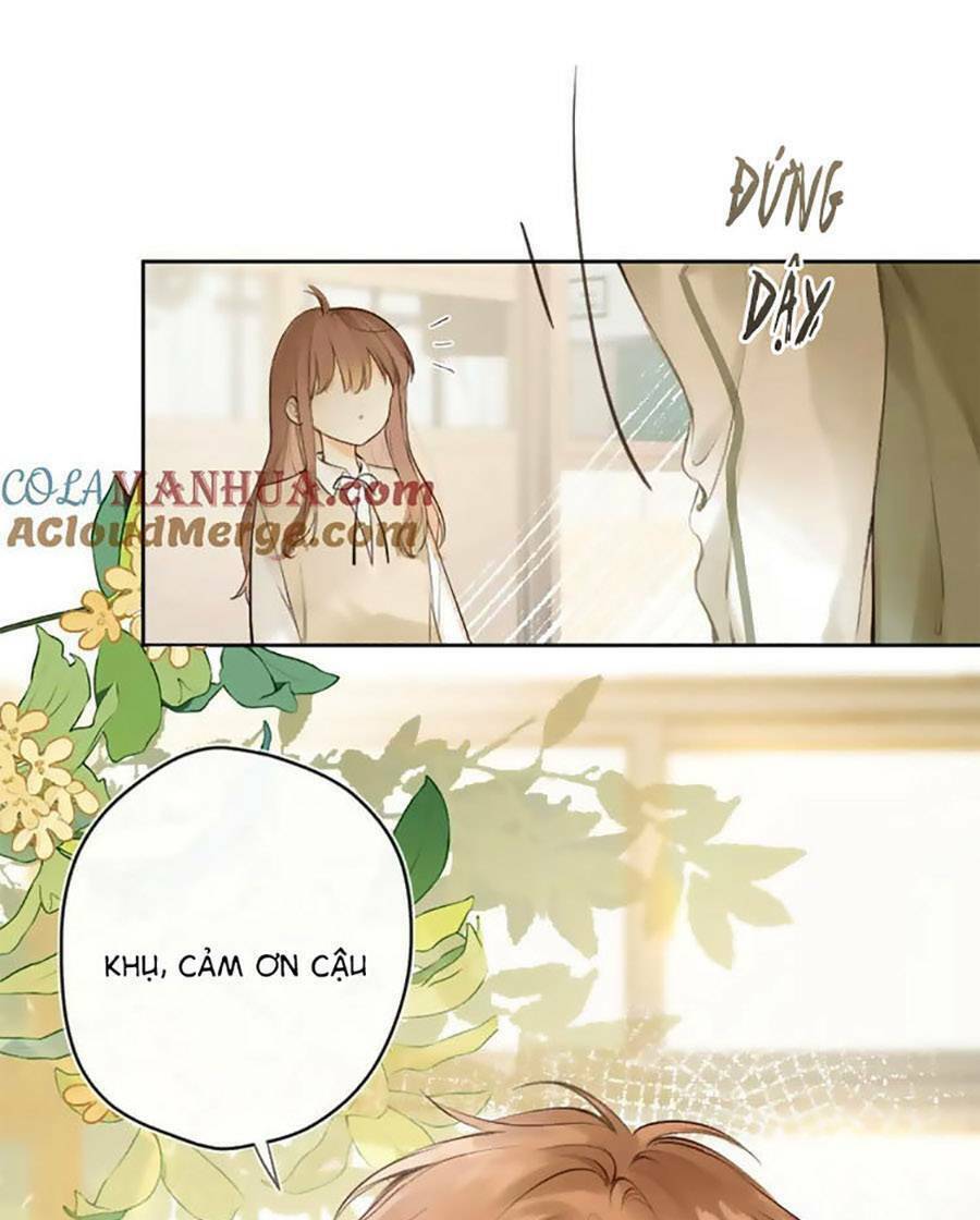 Tình Yêu Duy Nhất Của Tôi Chương 47 Ảnh 41