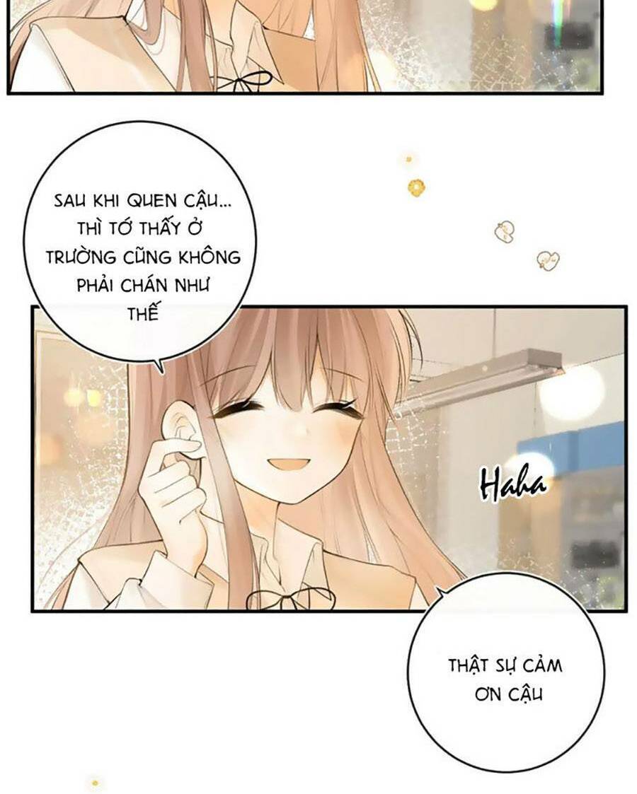 Tình Yêu Duy Nhất Của Tôi Chương 51 Ảnh 26