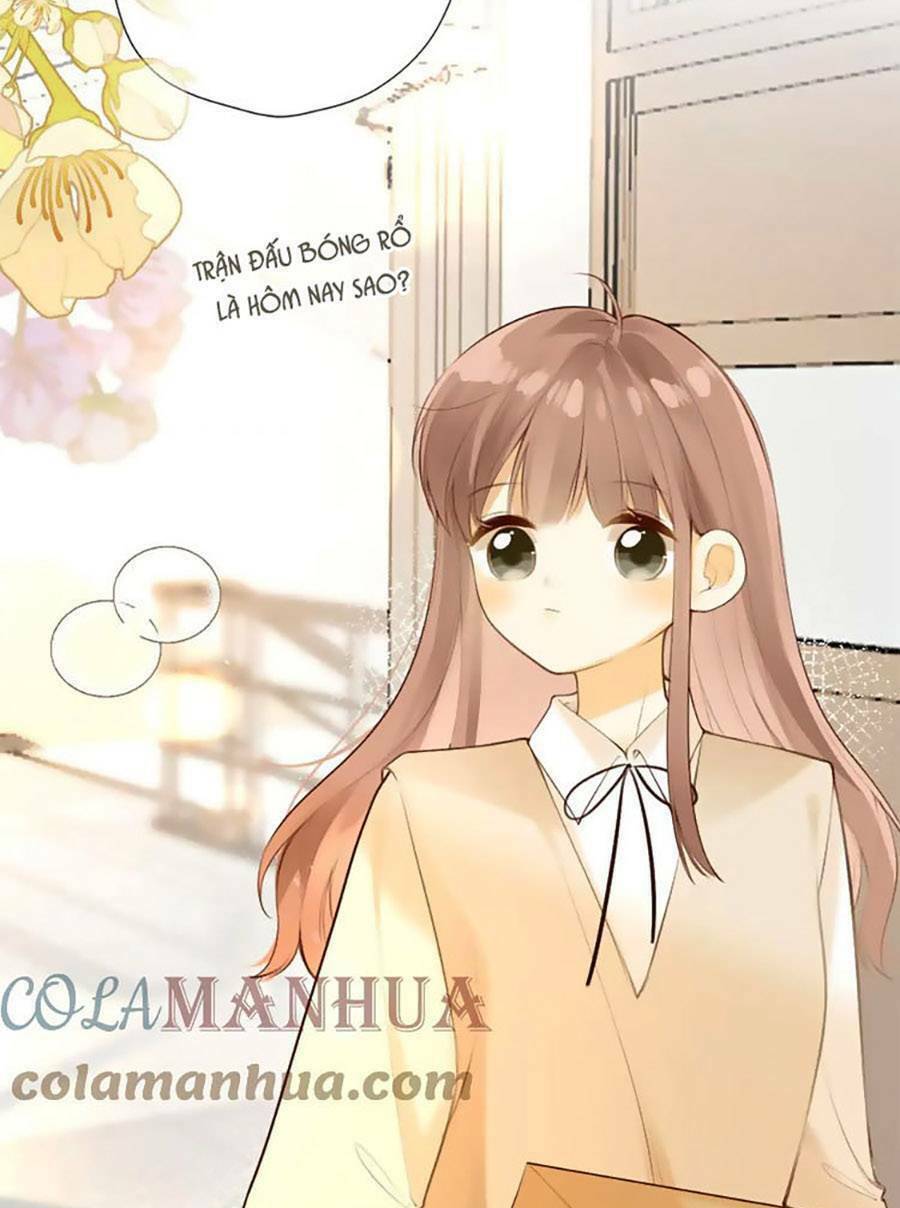 Tình Yêu Duy Nhất Của Tôi Chương 44 Ảnh 5
