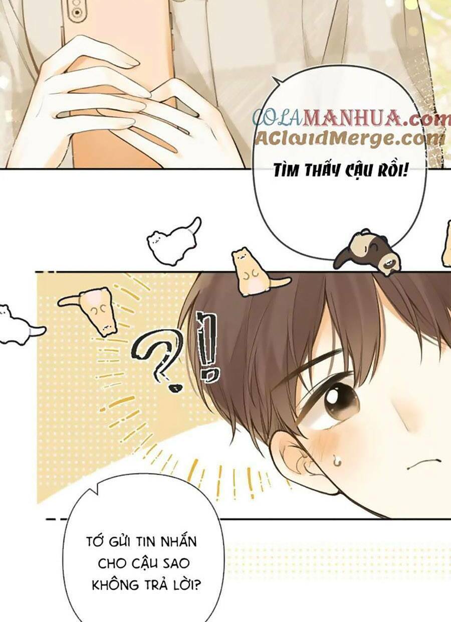 Tình Yêu Duy Nhất Của Tôi Chương 48 Ảnh 43