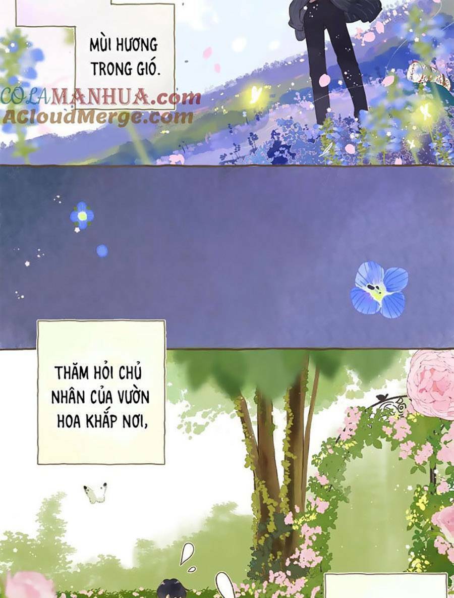Tiệm Hoa Hướng Dương Góc Phố Chương 80 Ảnh 25