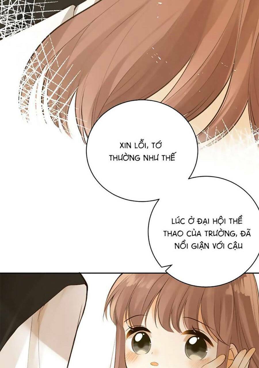 Tình Yêu Duy Nhất Của Tôi Chương 46 Ảnh 31