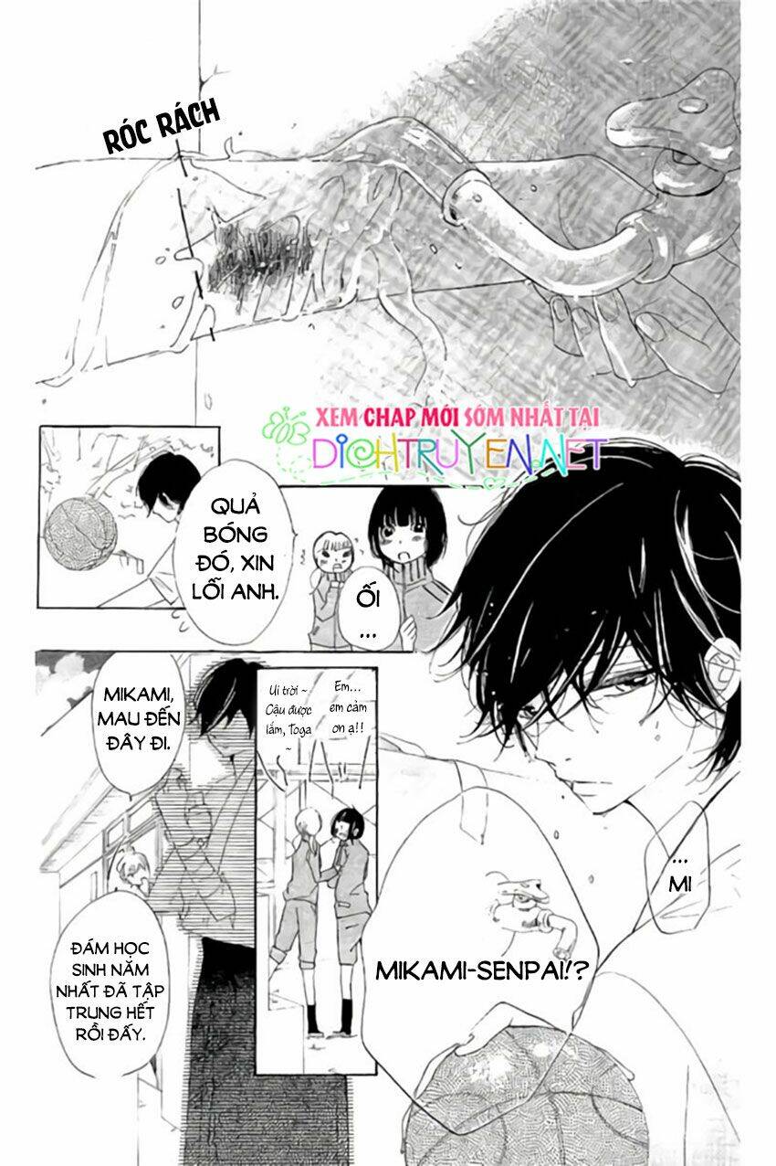Ichirei Shite, Kiss Chương 20 Ảnh 21
