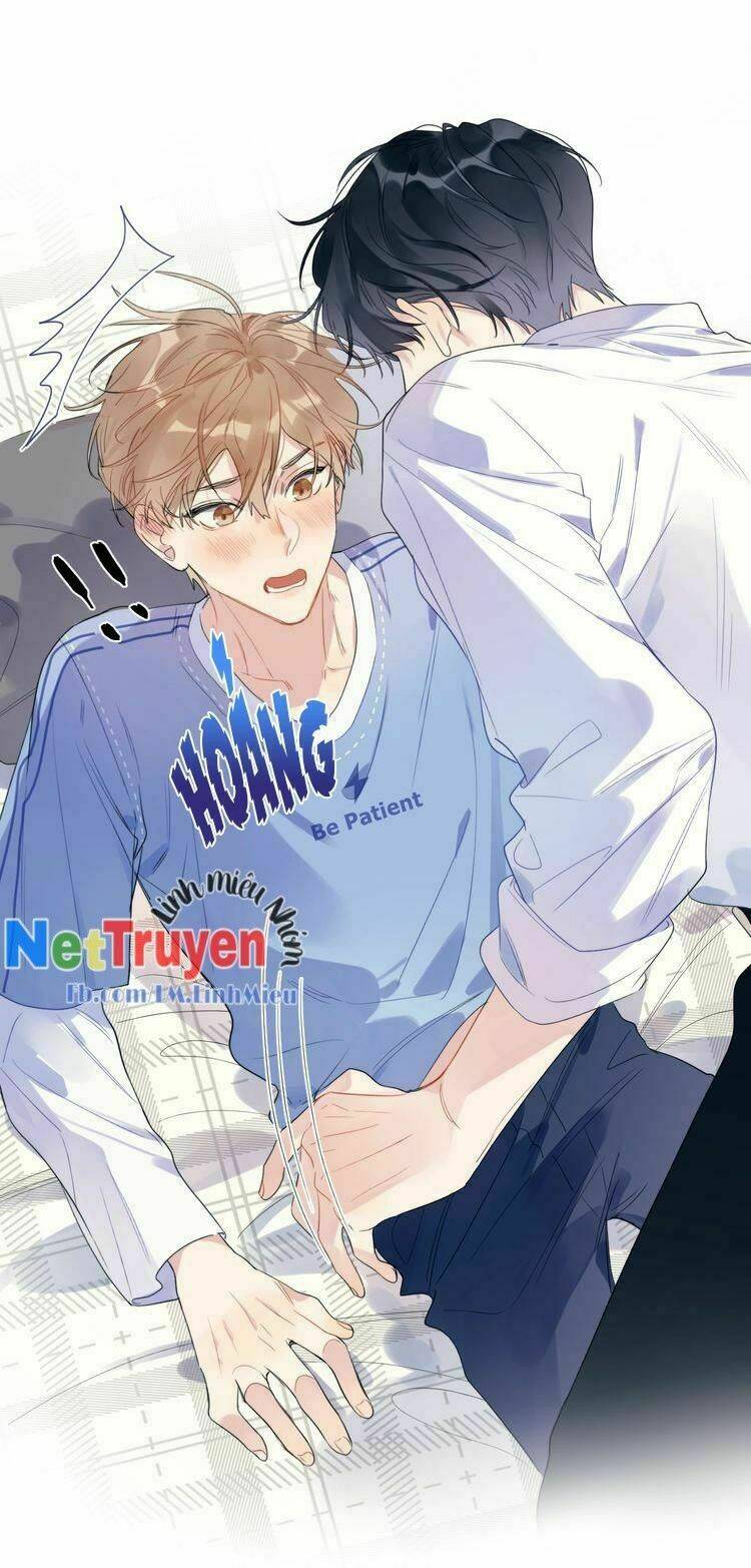 Ánh Nắng Rực Rỡ Của Tinh Trình Chương 4 Ảnh 16