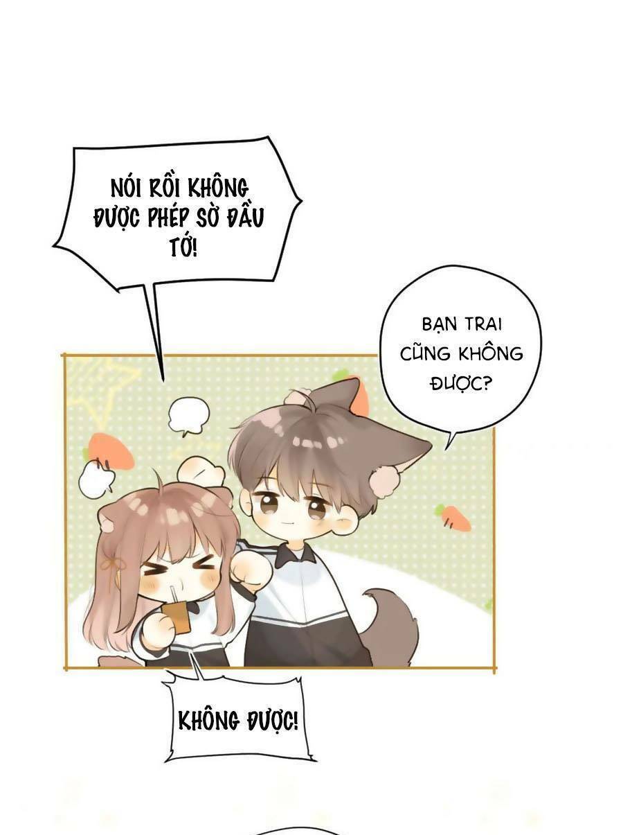 Tình Yêu Duy Nhất Của Tôi Chương 43 Ảnh 15