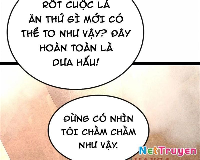 Ta Vô Địch Phản Sáo Lộ Chương 53 Ảnh 41