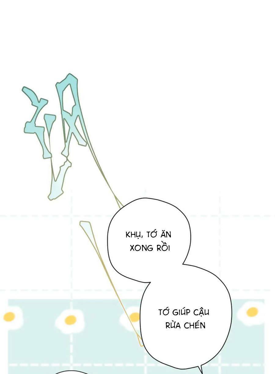 Tình Yêu Duy Nhất Của Tôi Chương 39 Ảnh 13