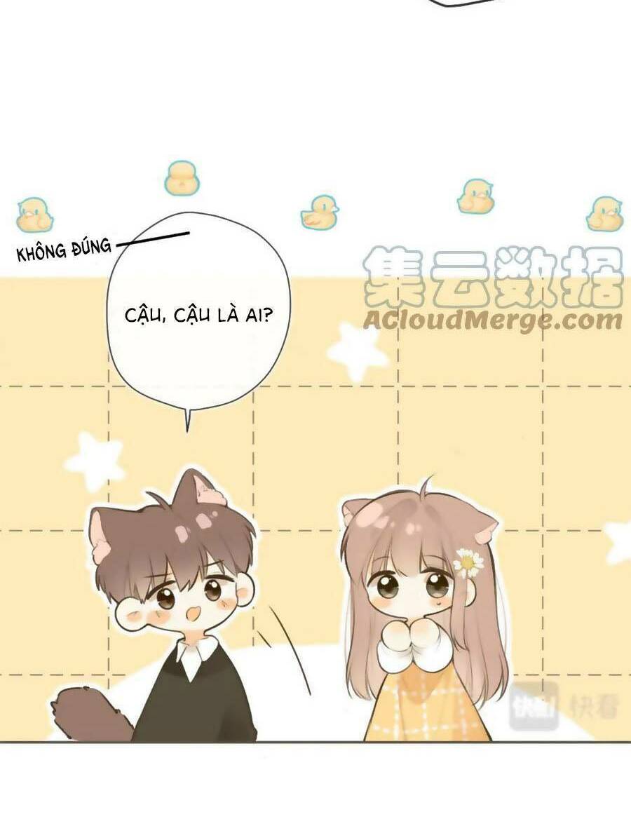 Tình Yêu Duy Nhất Của Tôi Chương 42.5 Ảnh 8