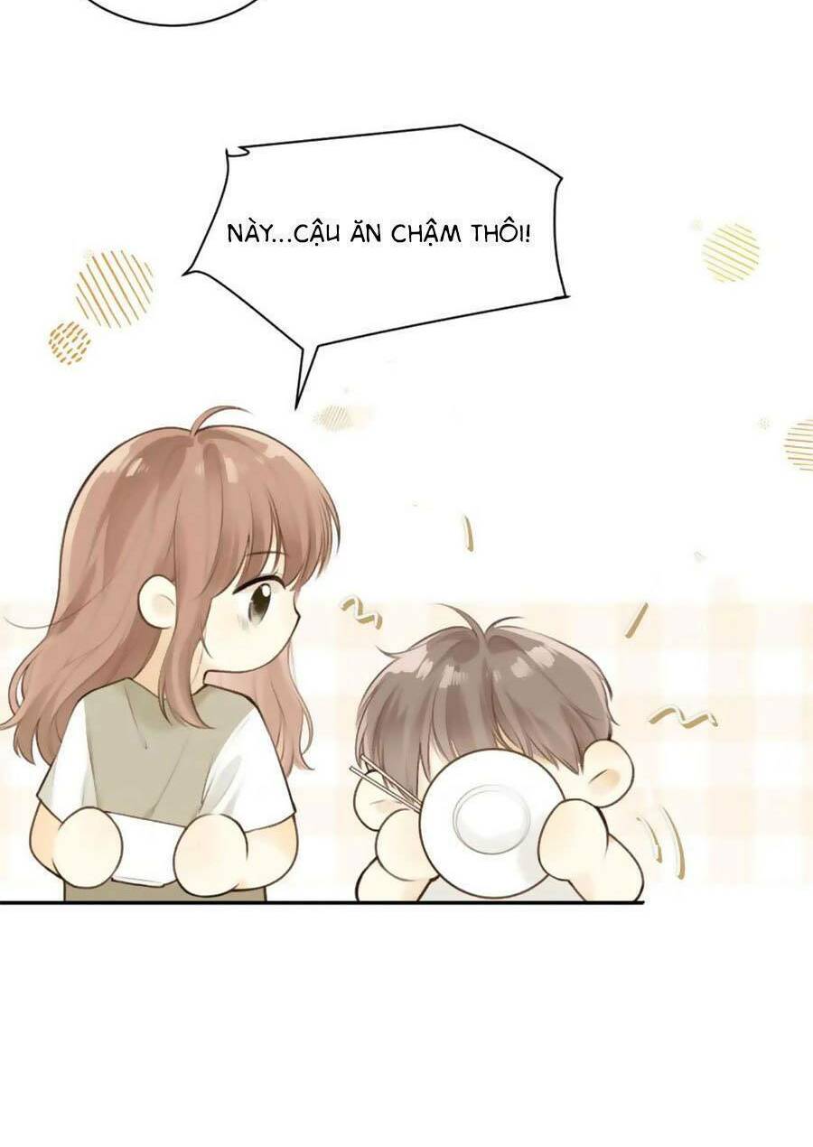 Tình Yêu Duy Nhất Của Tôi Chương 39 Ảnh 12