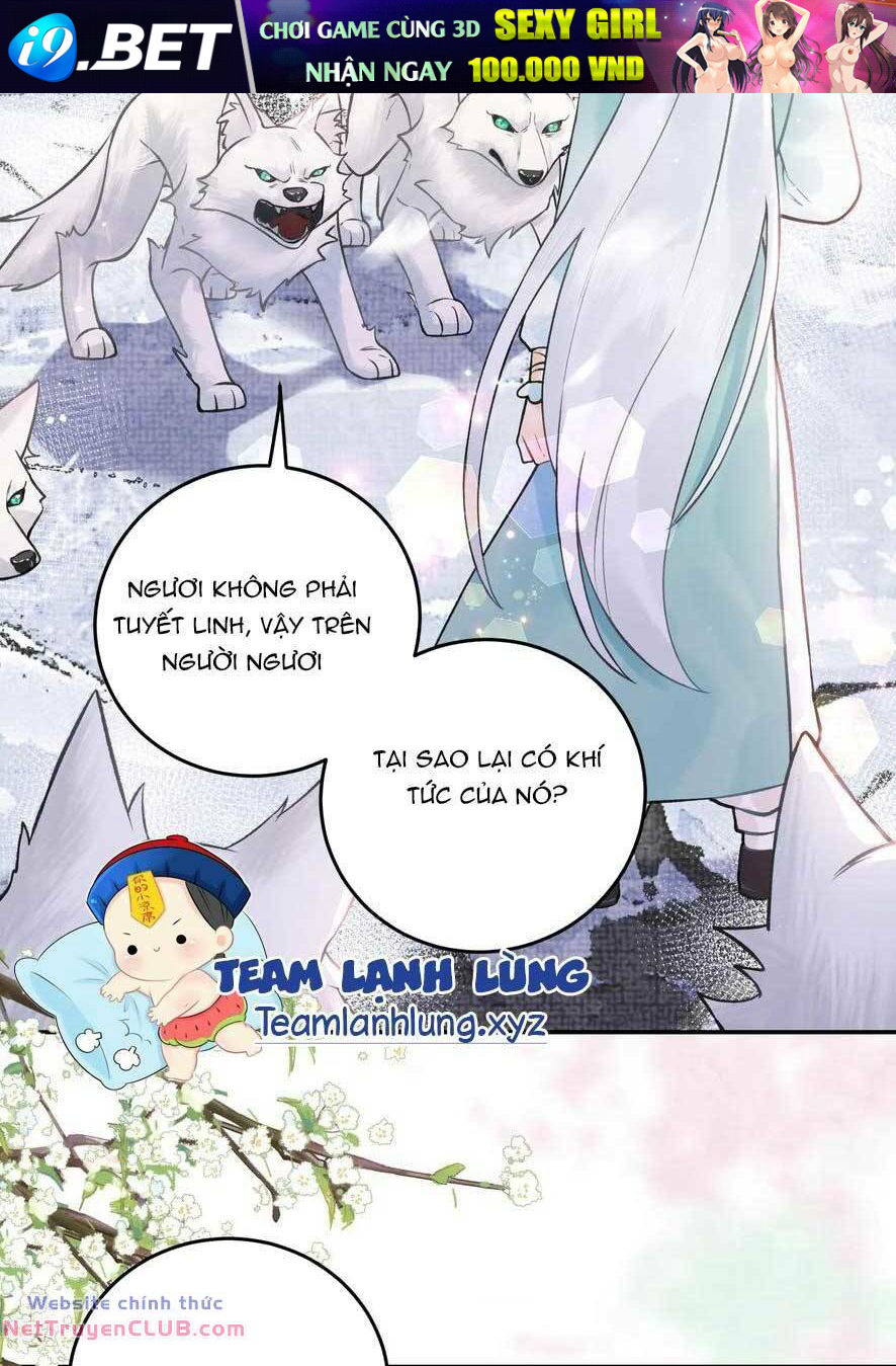 Toàn Tông Môn Đều Là Kẻ Si Tình, Chỉ Có Ta Là Tỉnh Táo Chương 175 Ảnh 16