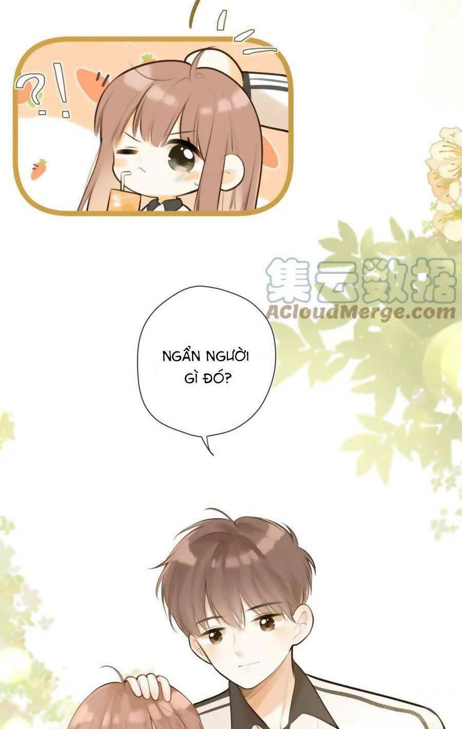 Tình Yêu Duy Nhất Của Tôi Chương 43 Ảnh 13