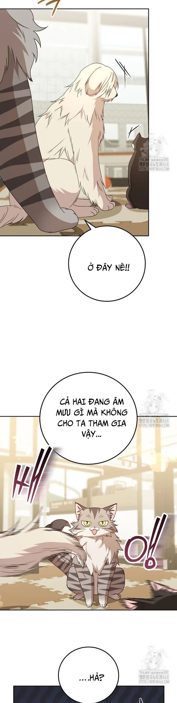 Xin Chào! Bác Sĩ Thú Y Chương 83 Ảnh 16