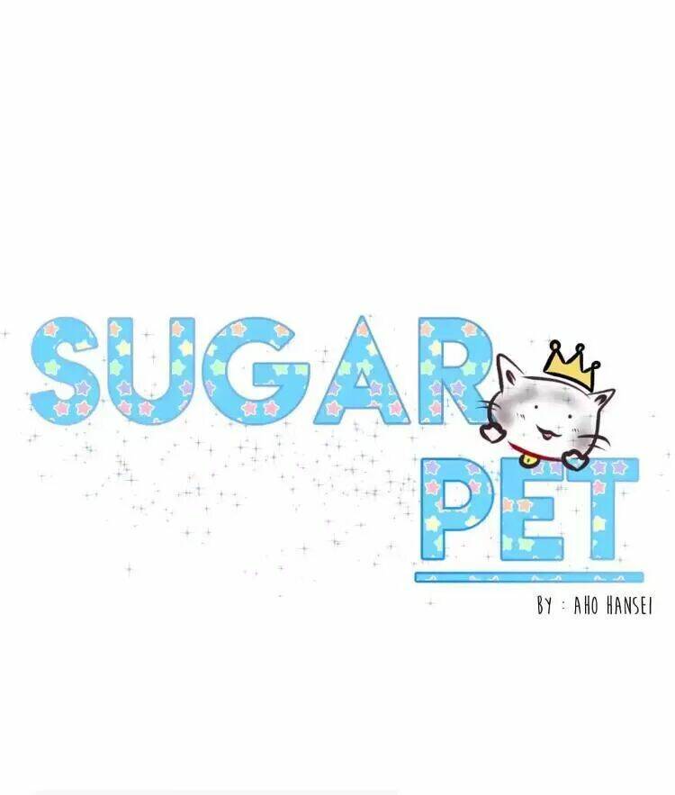 Sugar Pet Chương 15 Ảnh 20