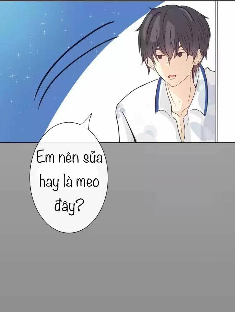 Sugar Pet Chương 14 Ảnh 8
