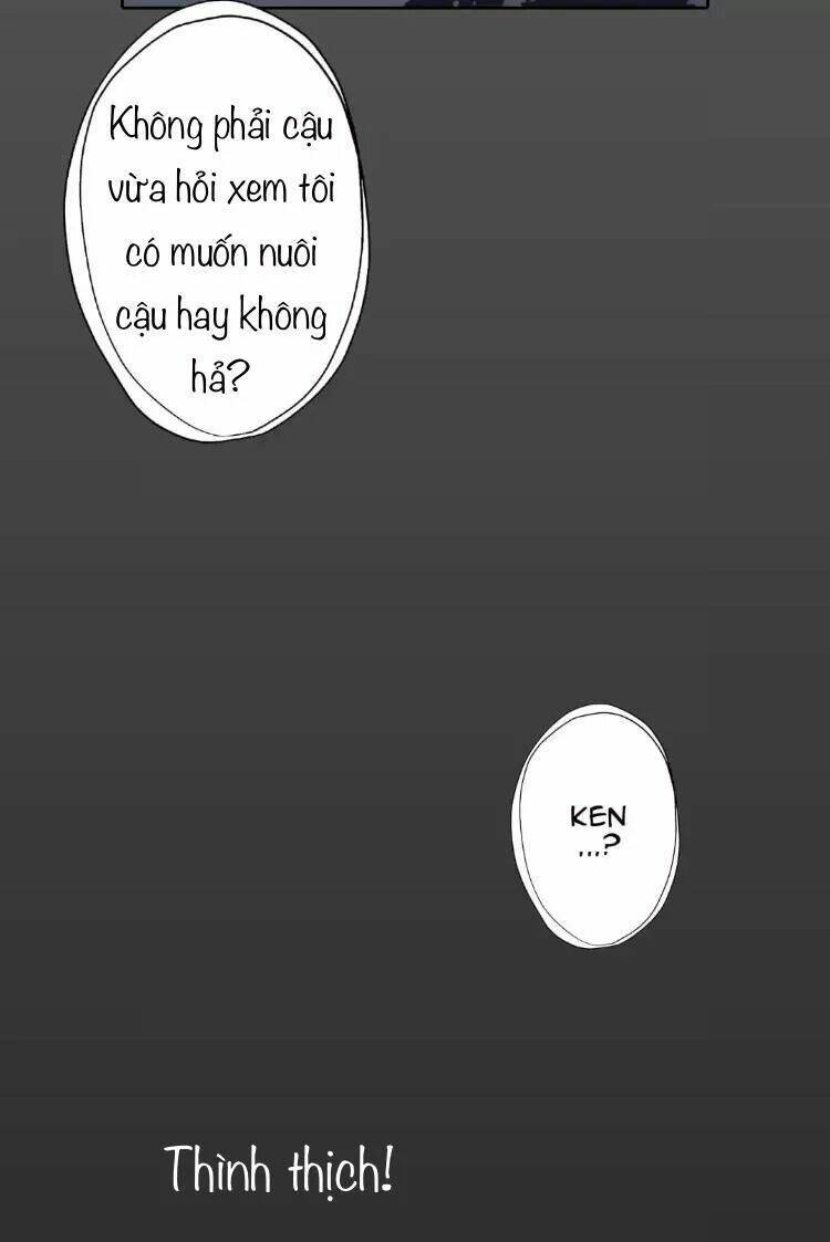 Sugar Pet Chương 14 Ảnh 11