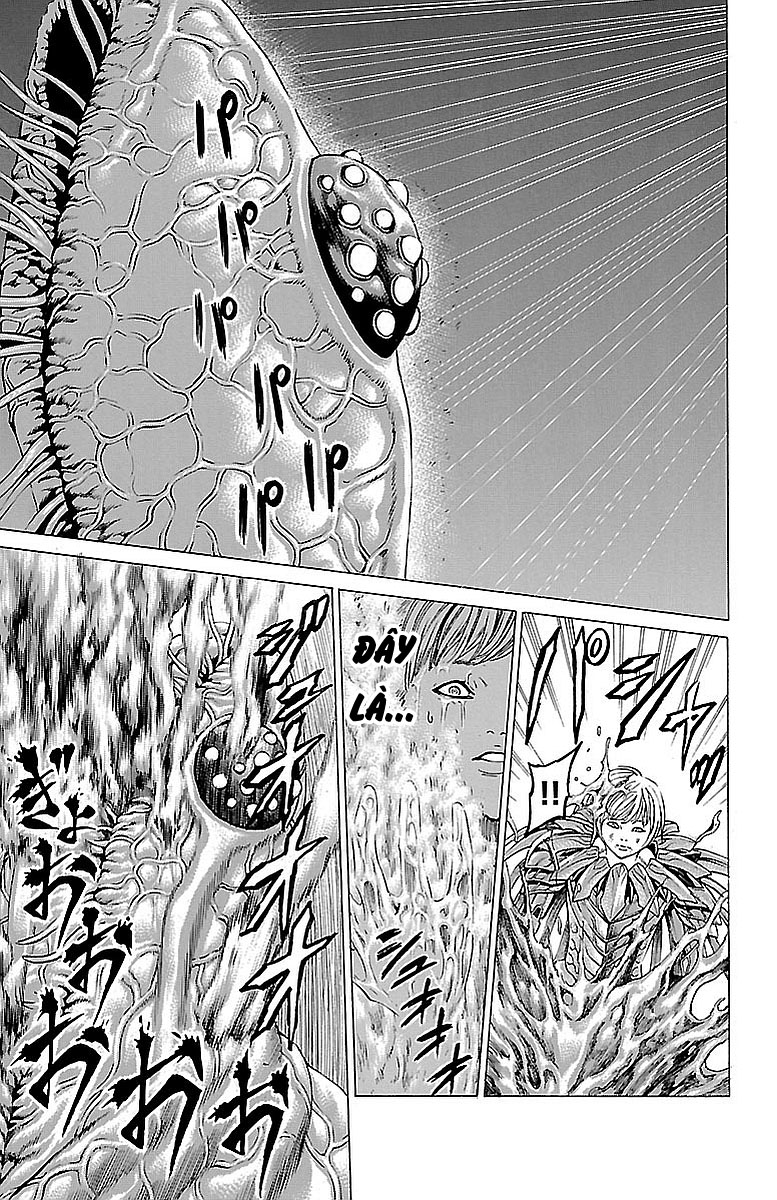 Hakaijuu Chương 80 Ảnh 21