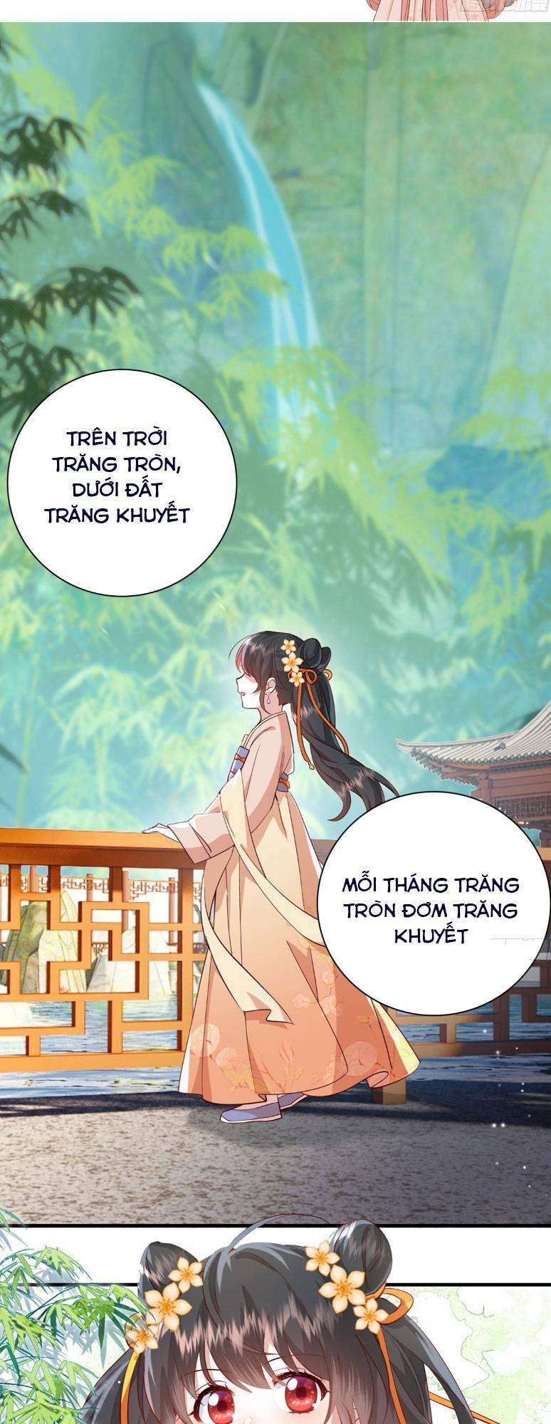 Sau Khi Sống Lại, Ta Trở Thành Kiều Thê Của Quyền Thần. Chương 38 Ảnh 5