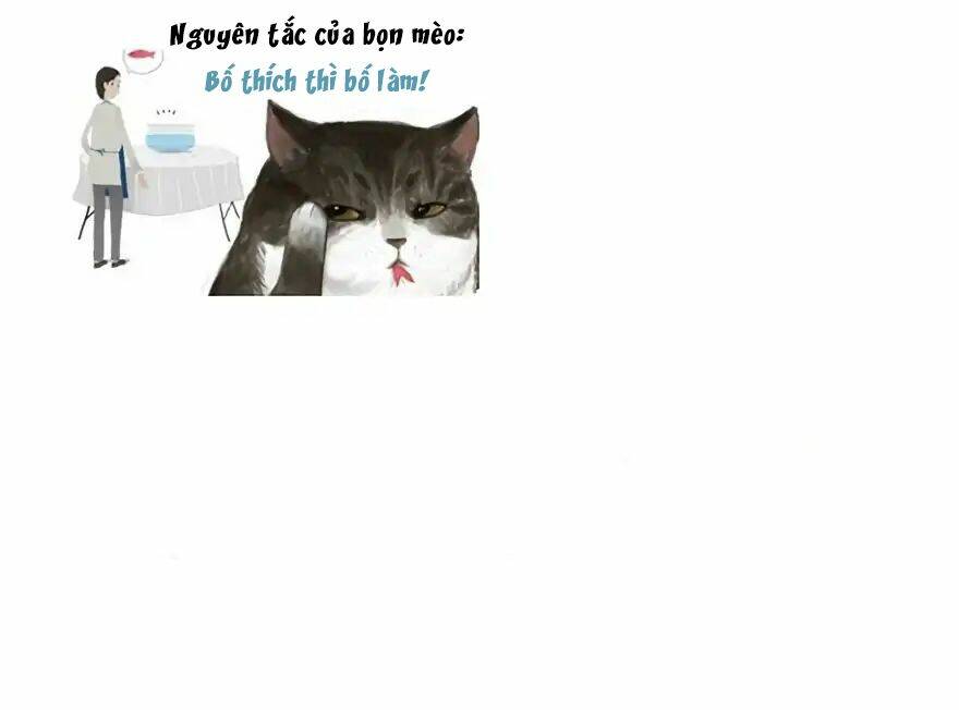 Biết Là Ghét Đấy, Nhưng Không Thể Buông Bỏ Chương 1 Ảnh 12