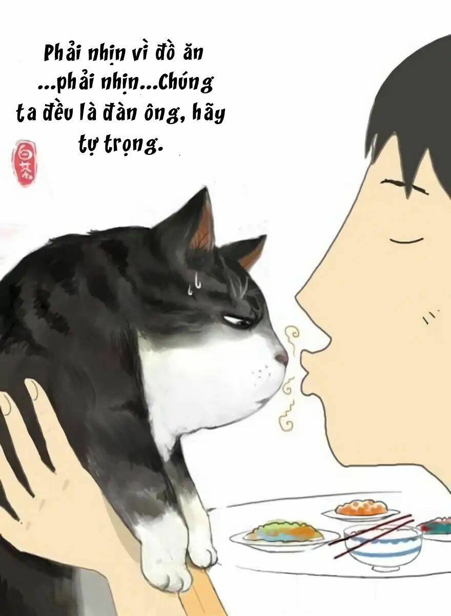 Biết Là Ghét Đấy, Nhưng Không Thể Buông Bỏ Chương 1 Ảnh 11