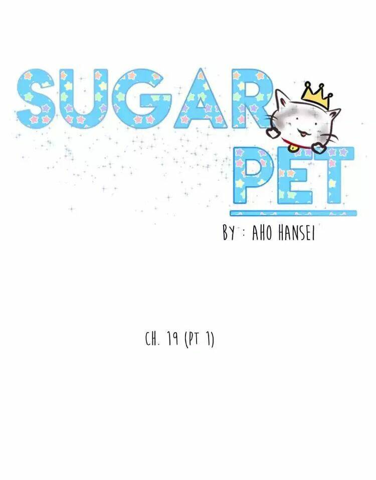 Sugar Pet Chương 19 Ảnh 26