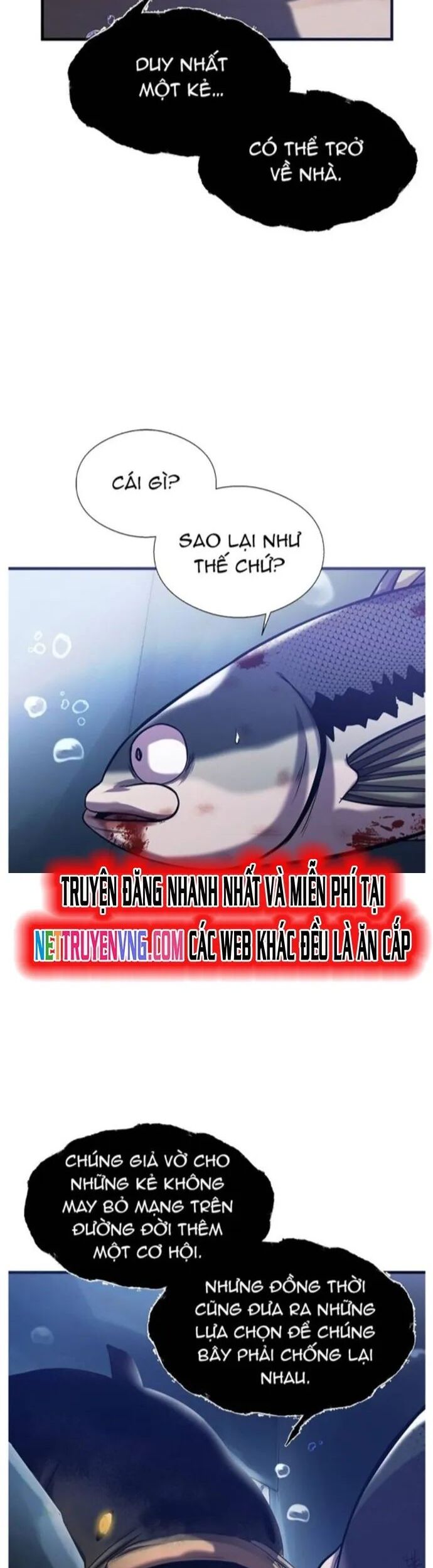 Hoá Thân Thành Cá Chương 55 Ảnh 11
