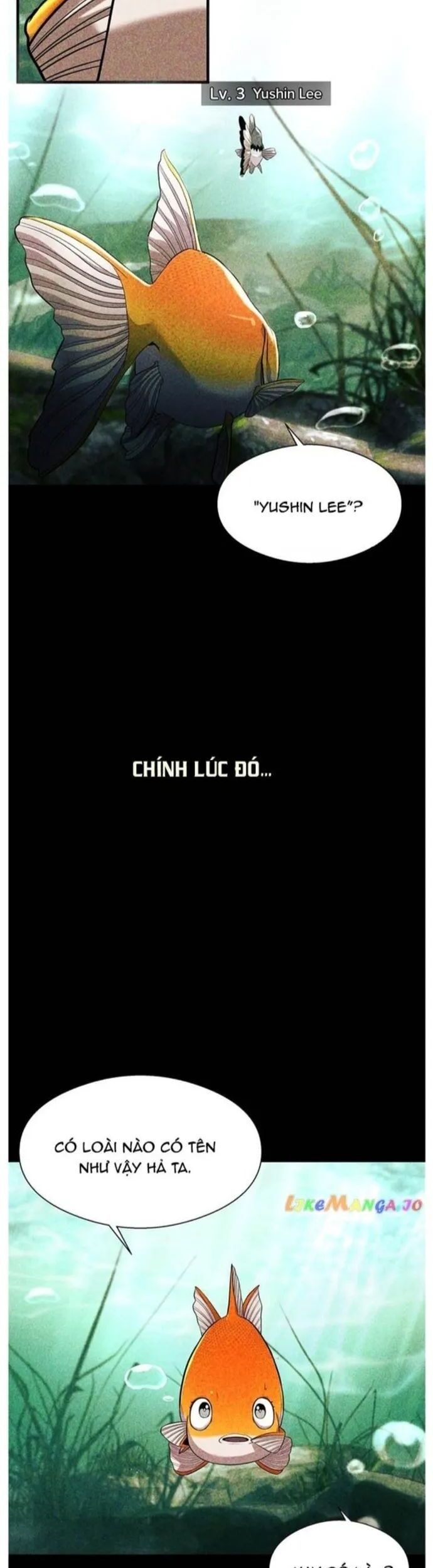 Hoá Thân Thành Cá Chương 56 Ảnh 16