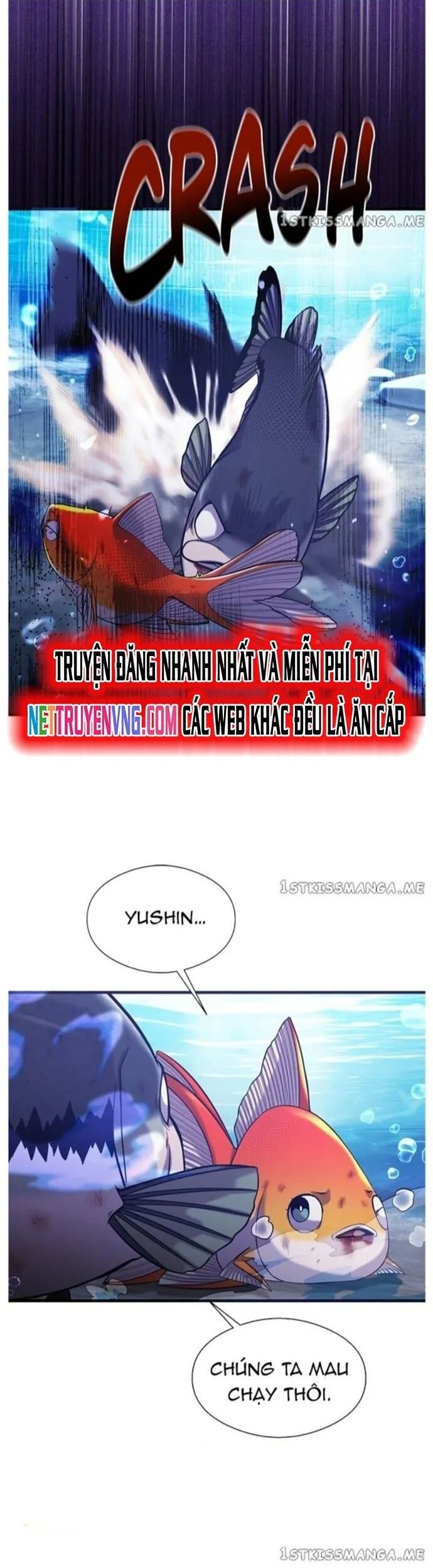 Hoá Thân Thành Cá Chương 54 Ảnh 11