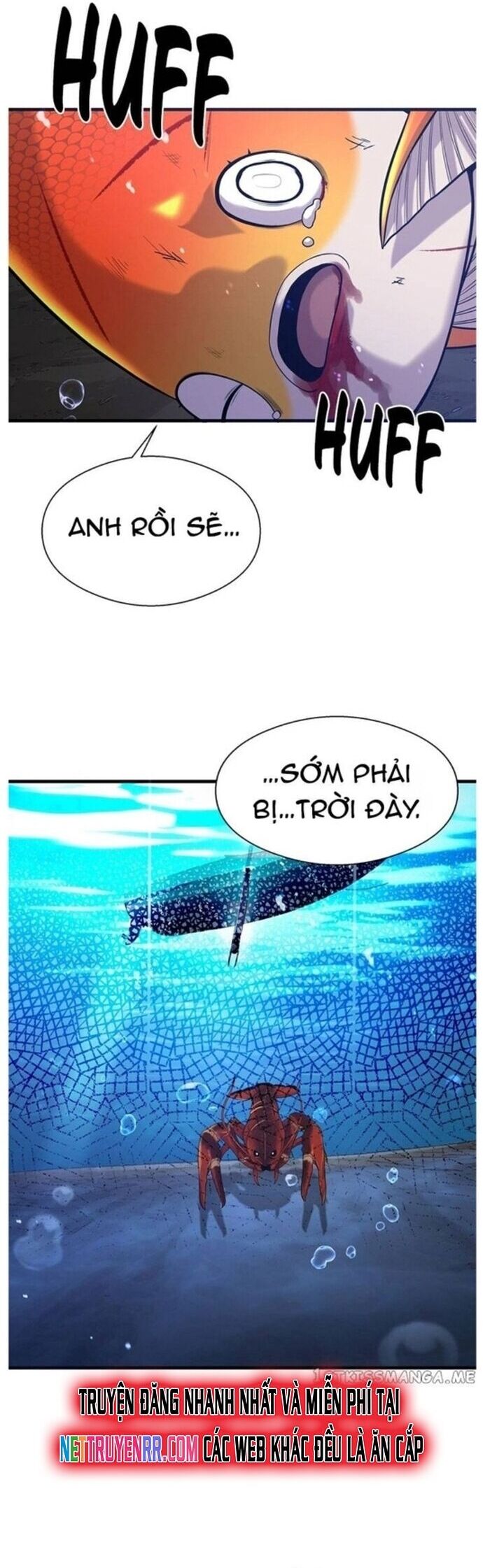 Hoá Thân Thành Cá Chương 49 Ảnh 51