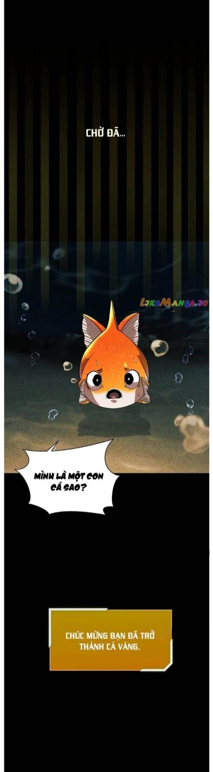 Hoá Thân Thành Cá Chương 56 Ảnh 10