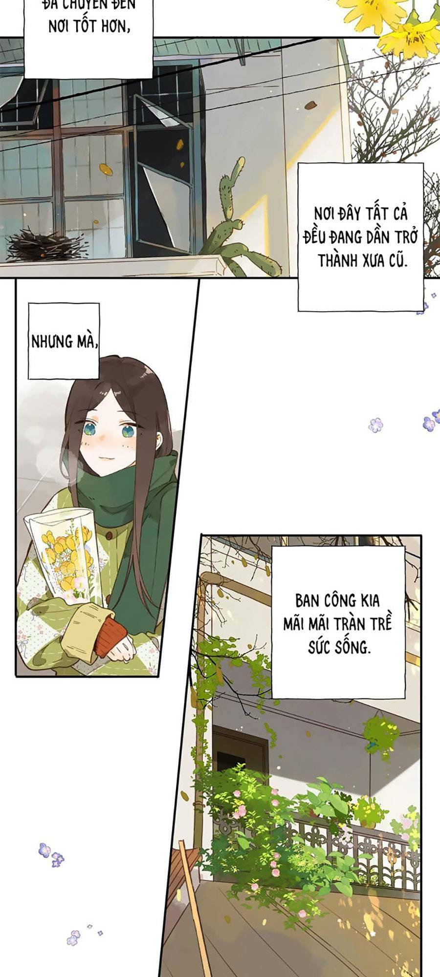 Tiệm Hoa Hướng Dương Góc Phố Chương 78 Ảnh 10
