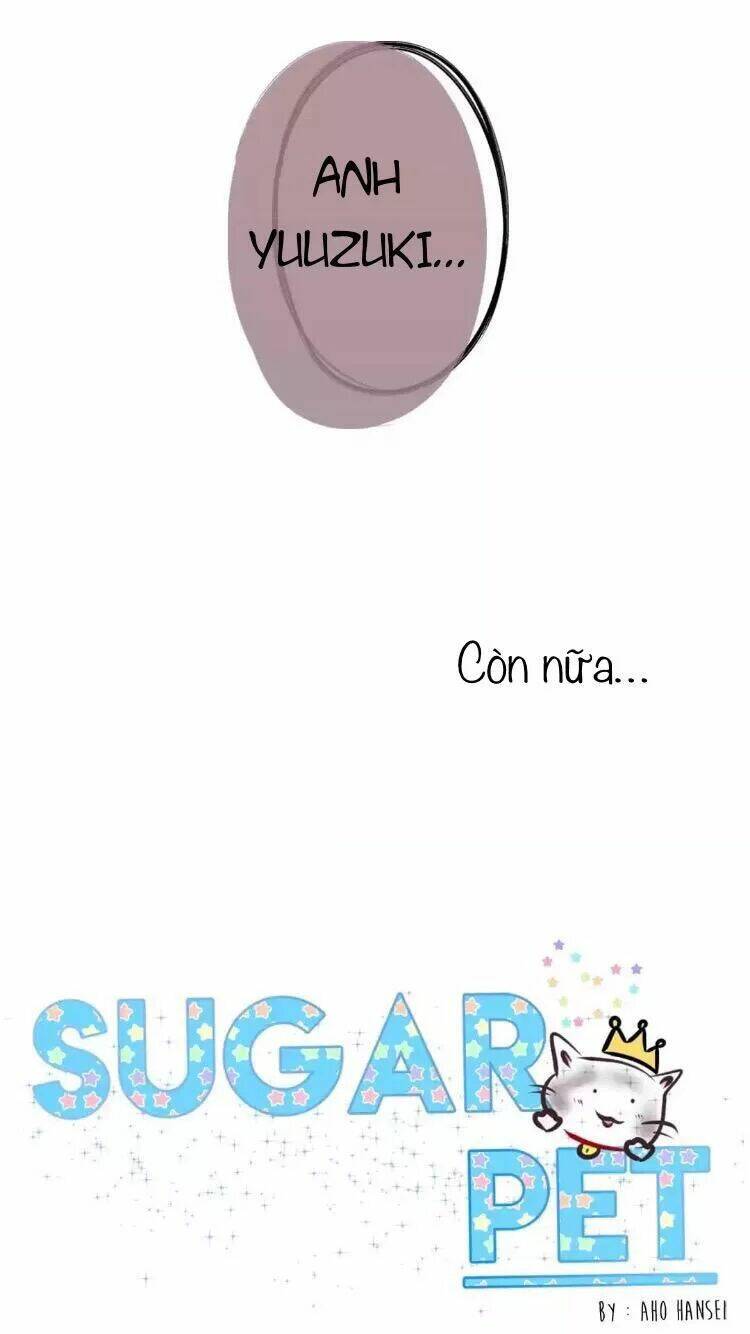 Sugar Pet Chương 18 Ảnh 24
