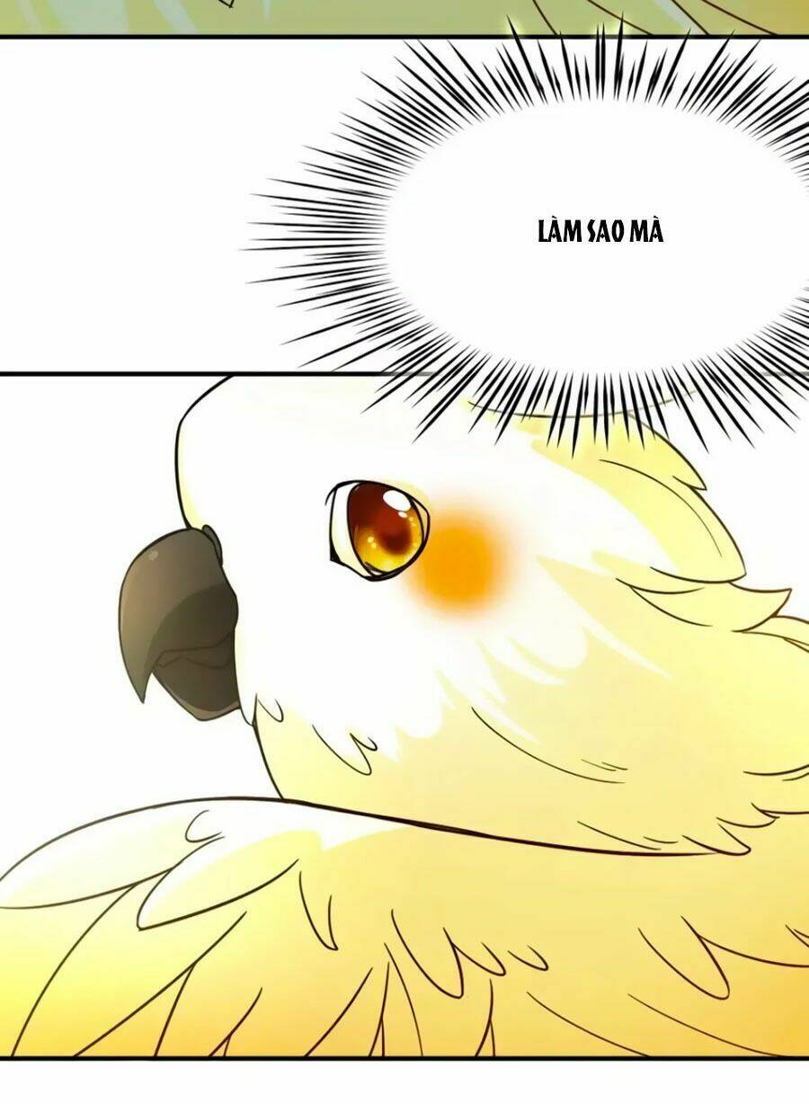 Huyền Vũ Luyến Ca: Vạn Vật Sinh Linh Chương 36 Ảnh 13