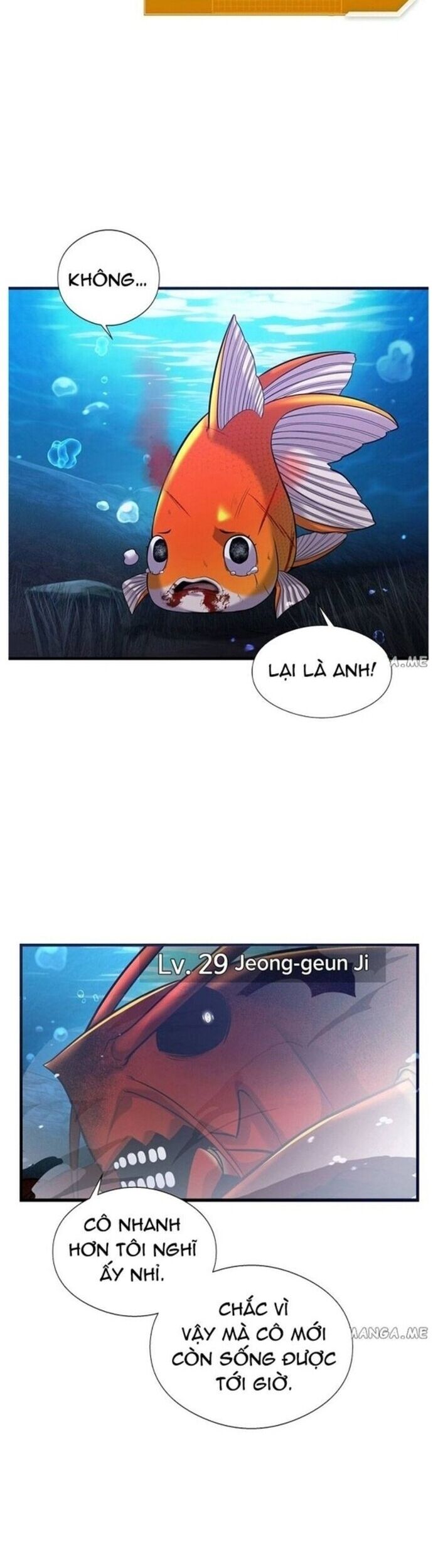 Hoá Thân Thành Cá Chương 49 Ảnh 23