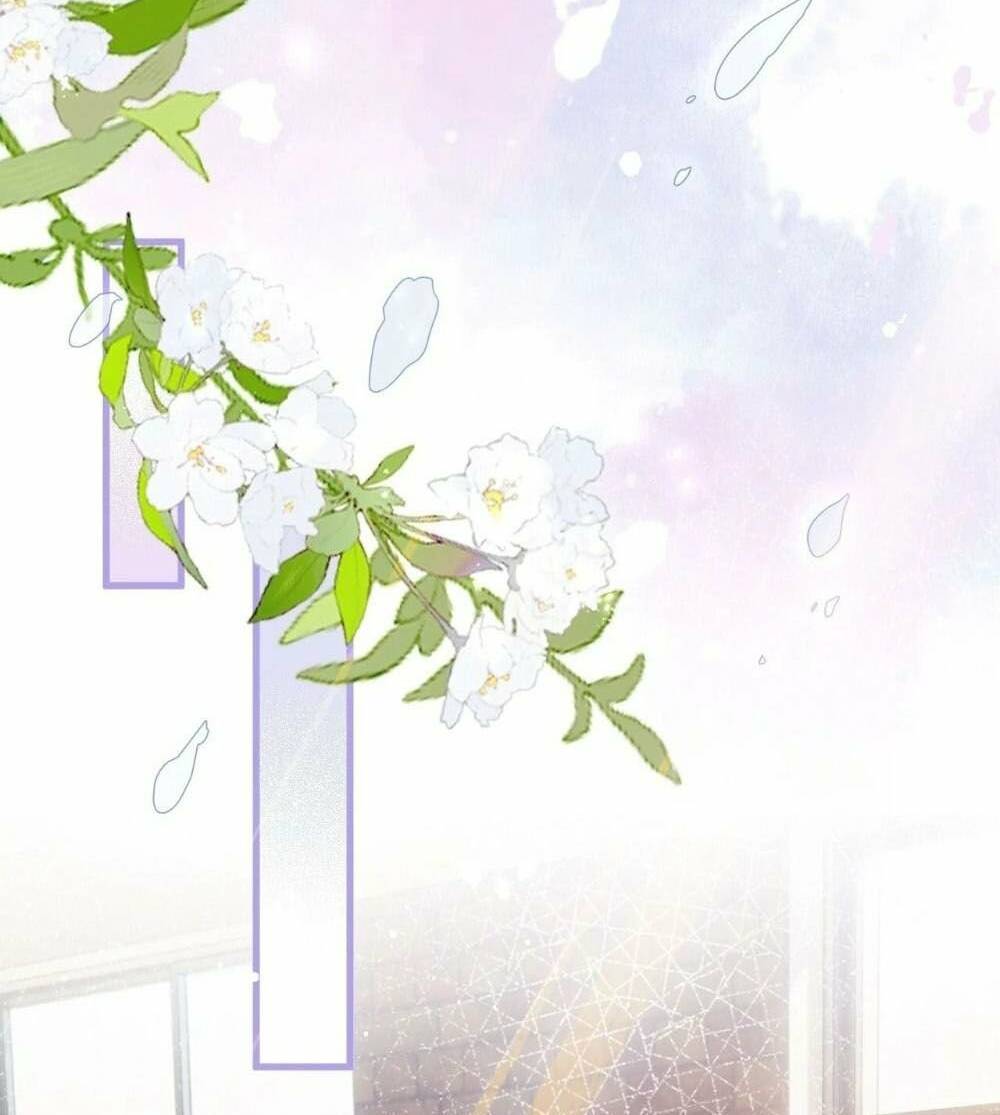 Cô Ấy Và Bông Hồng Trắng Chương 28 Ảnh 60