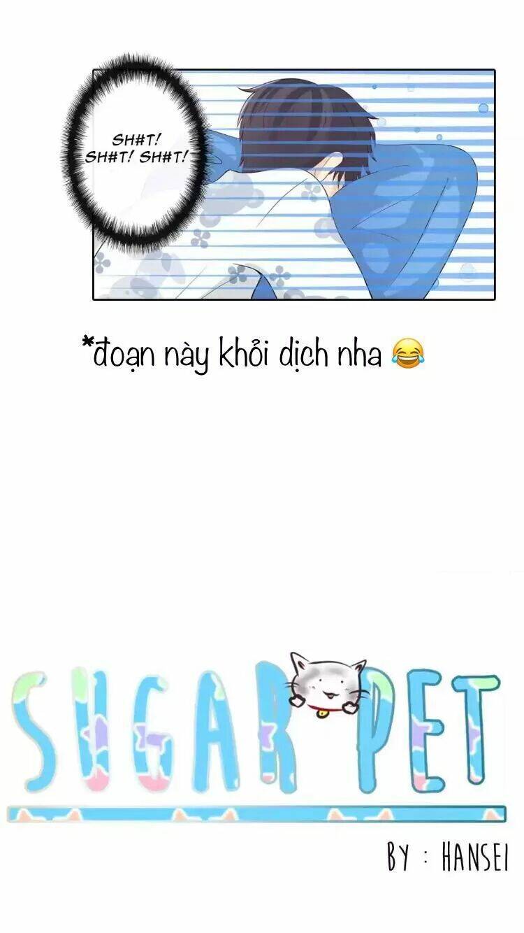 Sugar Pet Chương 12 Ảnh 8